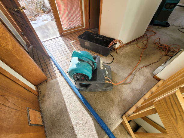 Best 24-hour water damage restoration  in Pawhuska, OK