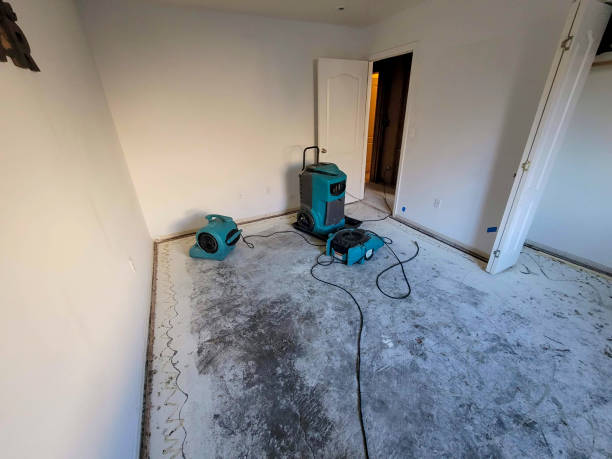 Best Carpet water damage restoration  in Pawhuska, OK