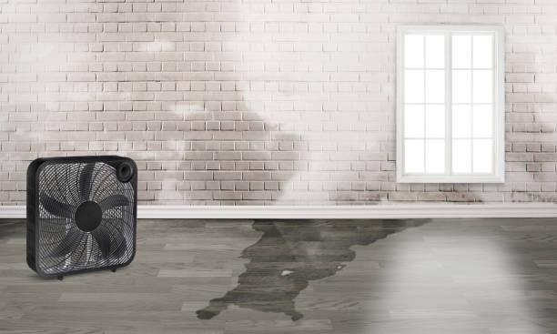 Best Water damage restoration mold remediation  in Pawhuska, OK