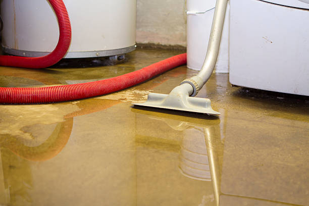 Best Basement water damage restoration  in Pawhuska, OK