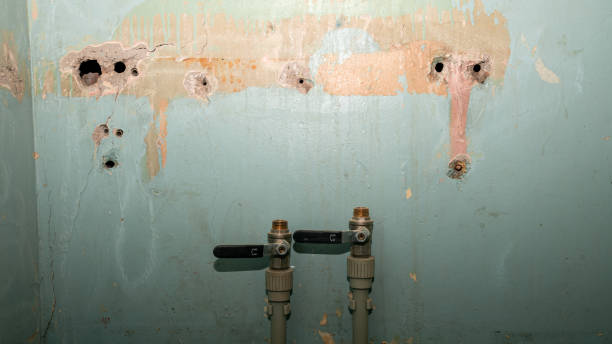 Water damage restoration mold remediation in OK