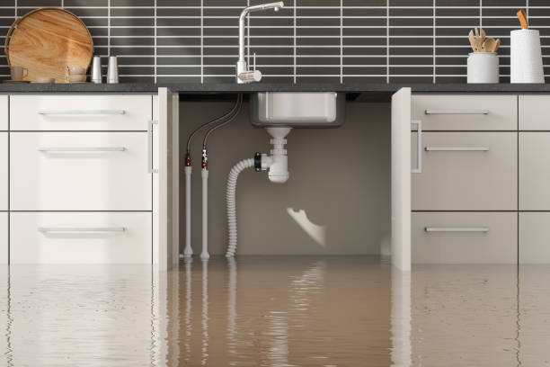 Best Mold removal after water damage  in Pawhuska, OK